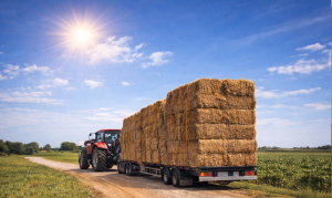 The Impact of Weather on Agricultural Logistics
